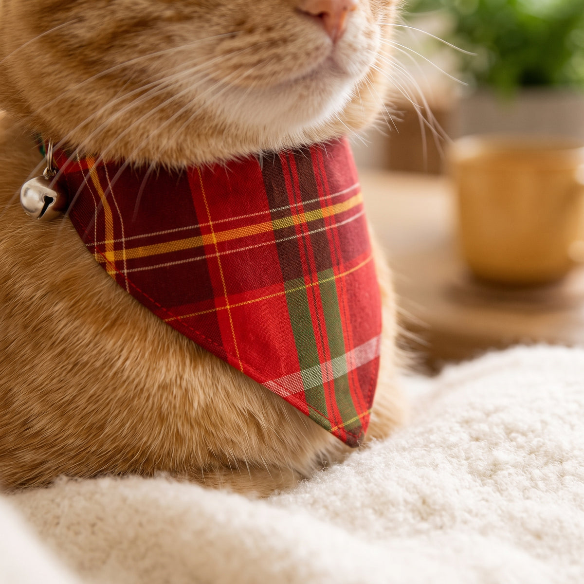 Classic Tartan Plaid Cat Bandana